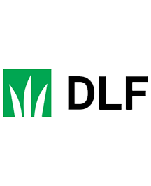 dlf