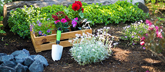 jardinerie