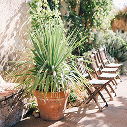 jardin