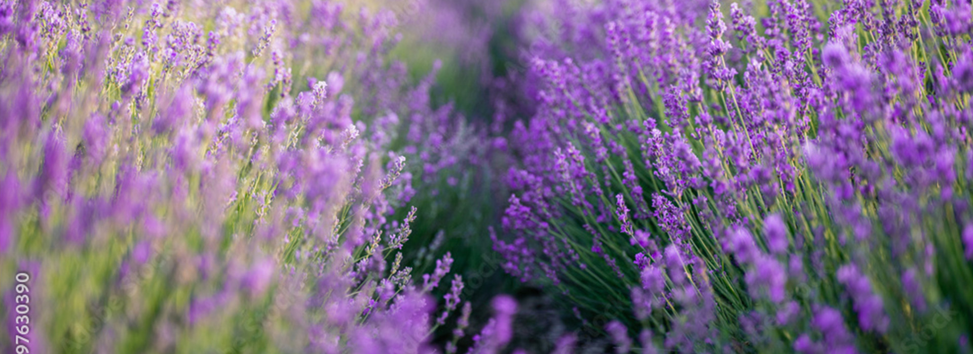 Charri re Distribution Nos Agences Charri re Distribution Nos Agences